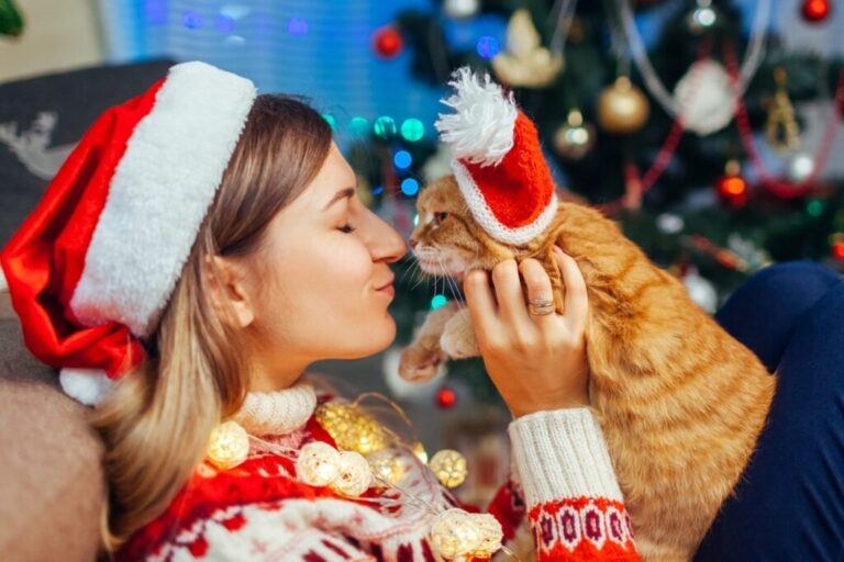 Χριστουγεννιάτικα Δώρα για Γάτες