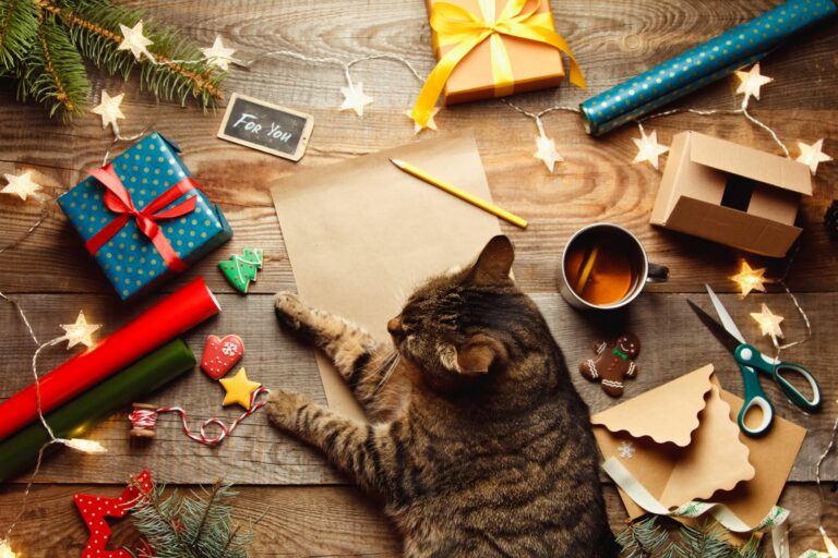 Χριστουγεννιάτικο ημερολόγιο γάτας
