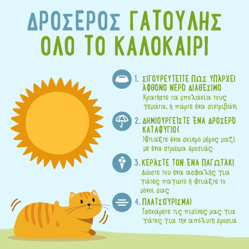 Συμβουλές φροντίδας για τη γάτα σας το καλοκαίρι