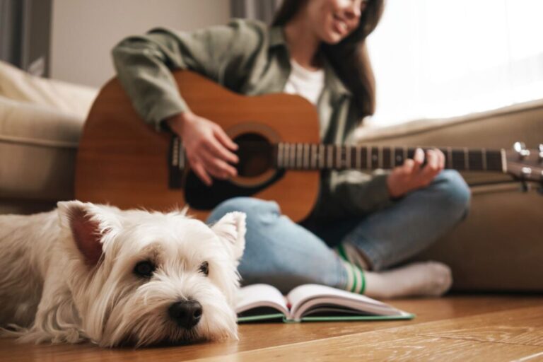 Χαλαρωτική μουσική για σκύλους