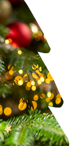 GR_freedeliveryapp_1223_right